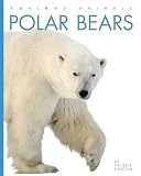 Polar Bears Amazing Animals