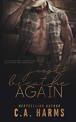 Just Breathe Again book cover