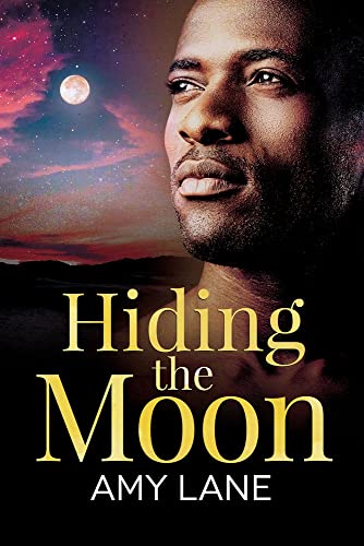 Hiding the Moon book cover