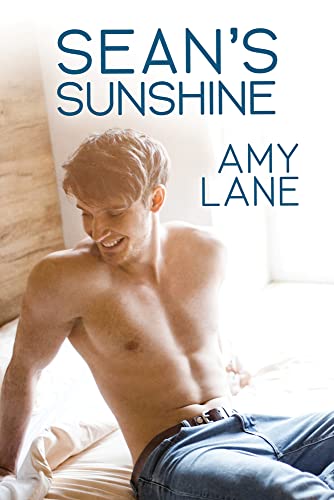 Sean's Sunshine book cover