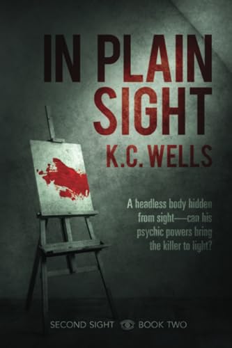 In Plain Sight book cover