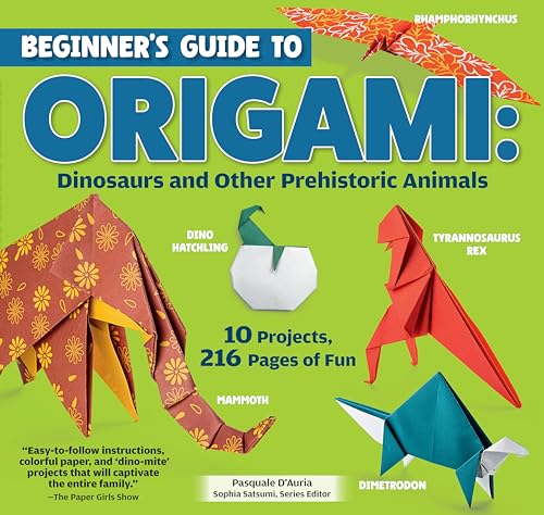 Beginner's Guide to Origami : by D'Auria, Pasquale