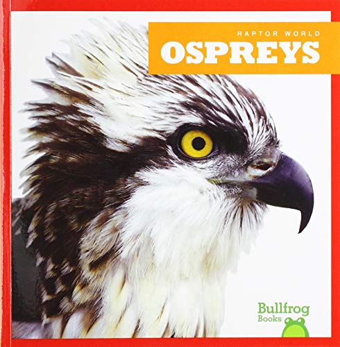 Cover of Ospreys