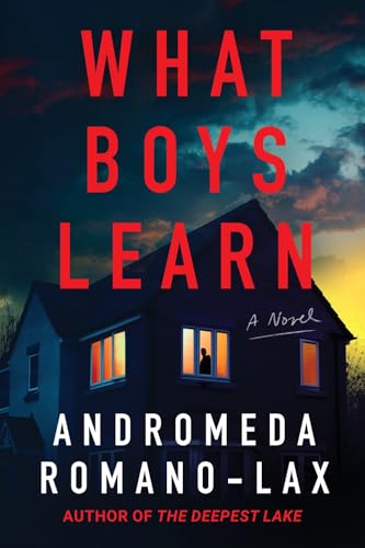 What Boys Learn book cover
