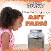 How to Make an Ant Farm (Step-by-Step Projects)