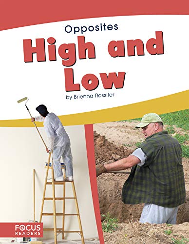 Cover of High and Low