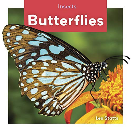 Cover of Butterflies