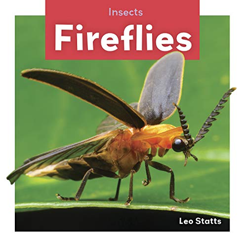 Cover of Fireflies
