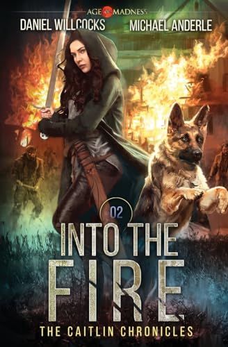Into the Fire book cover