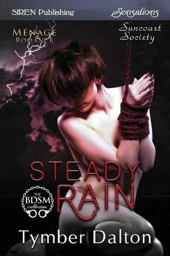 Steady Rain book cover