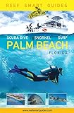 Reef Smart Guides Florida Palm Beach Scuba Dive Snorkel Surf Some Of The Best Diving Spots In Florida