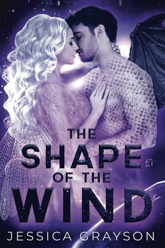 The Shape of the Wind book cover
