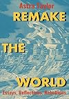 Remake the World: Essays, Reflections, Rebellions