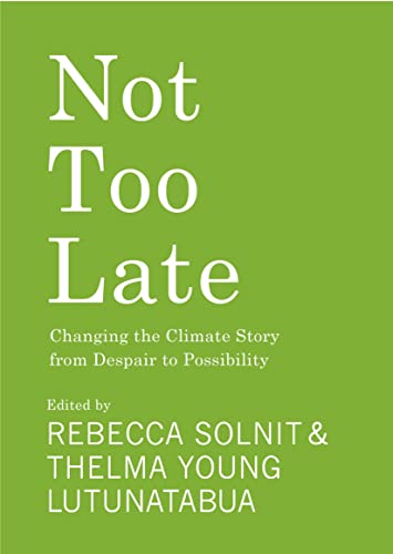 Not Too Late book cover