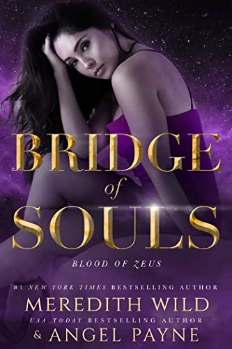 Bridge of Souls book cover