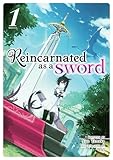 Reincarnated As A Sword Light Novel Vol 1