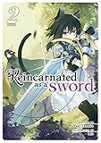 Reincarnated As A Sword Light Novel Vol 2