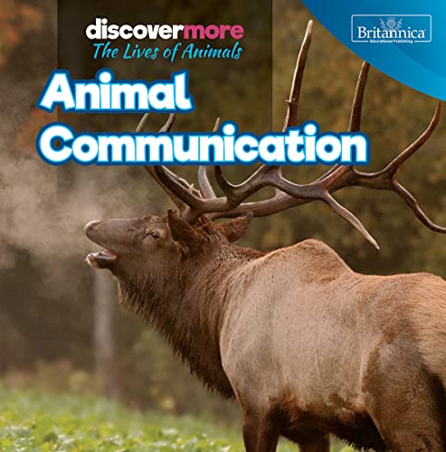 Cover of Animal Communication