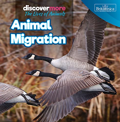 Cover of Animal Migration