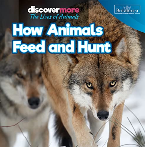 Cover of How Animals Feed and Hunt