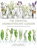 The essential aromatherapy garden
