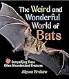 The Weird and Wonderful World of Bats: Demystifying These Often-Misunderstood Creatures