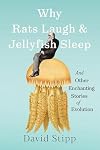 The Everyday Darwinist: And Other Enchanting Stories of Evolution