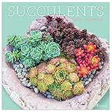 2020 Succulents Wall Calendar