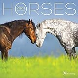 2020 Horses Mini Calendar