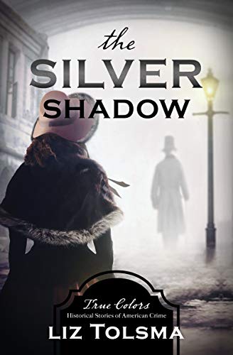 The Silver Shadow (By: Liz Tolsma) cover