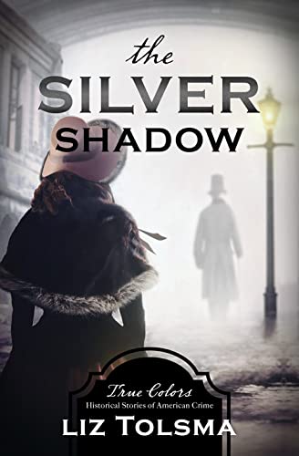 The Silver Shadow book cover