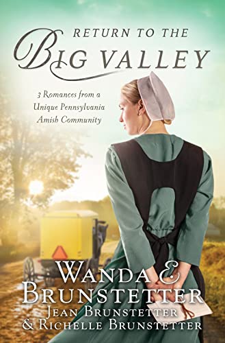 The Return to the Big Valley book cover