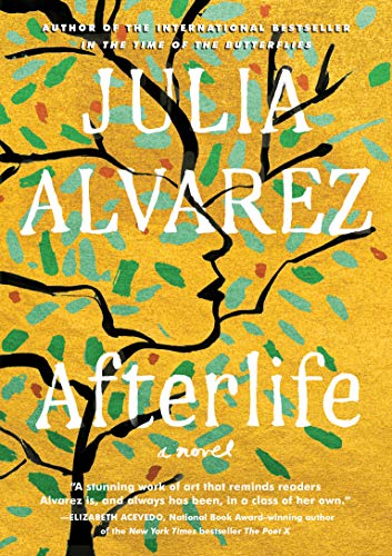 Afterlife book cover