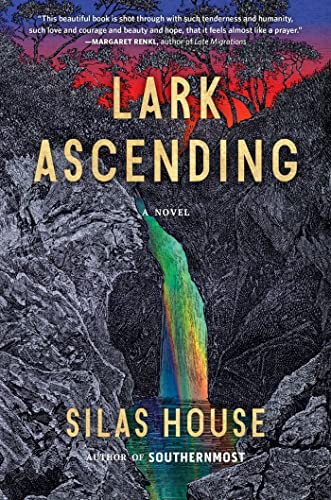 Lark Ascending book cover