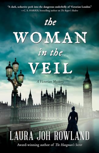 The Woman in the Veil book cover