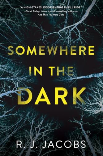 Somewhere in the Dark book cover