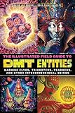 The Illustrated Field Guide to DMT Entities: Machine Elves, Tricksters, Teachers, and Other Interdimensional Beings