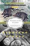 Water over Stones: A Novel