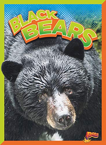 Cover of Black Bears