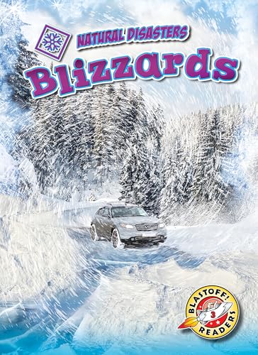 Cover of Blizzards