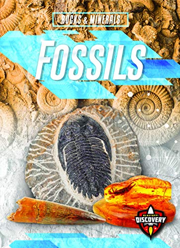 Cover of Fossils