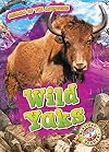 Wild Yaks (Blastoff Readers. Level 2)