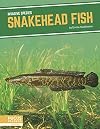 Snakehead Fish (Invasive Species)