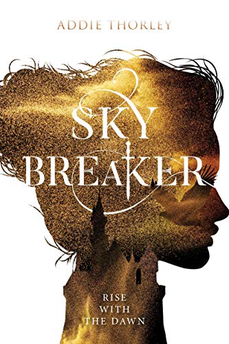 Sky Breaker book cover