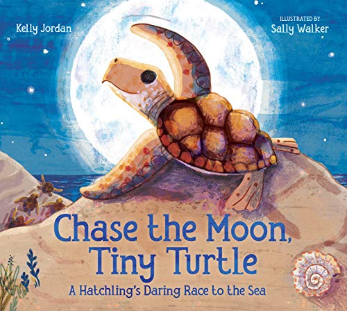 Chase the Moon, Tiny Turtle : by Jordan, Kelly
