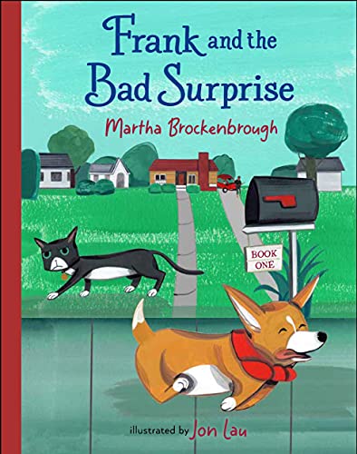 Frank and the Bad Surprise / by Brockenbrough, Martha