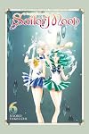Pretty Guardian Sailor Moon, Vol. 6 {Naoko Takeuchi Collection}