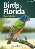 Birds Of Florida Field Guide Bird Identification Guides