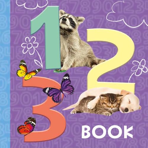 Cover of 1 2 3 Book