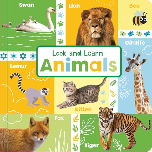 Cover of Look and Learn Animals